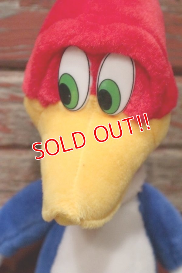 画像2: ct-220719-90 Woody Woodpecker / Toy Network 2000 Plush Doll