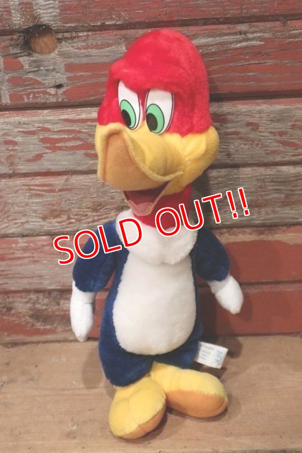 画像1: ct-220719-89 Woody Woodpecker / Toy Network 2000 Plush Doll