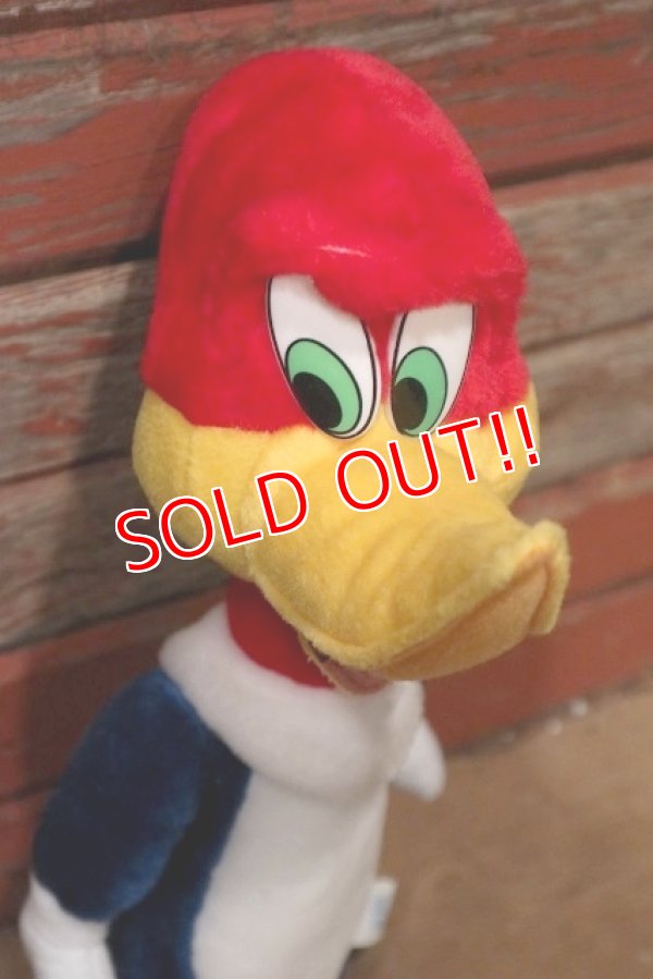 画像2: ct-220719-89 Woody Woodpecker / Toy Network 2000 Plush Doll