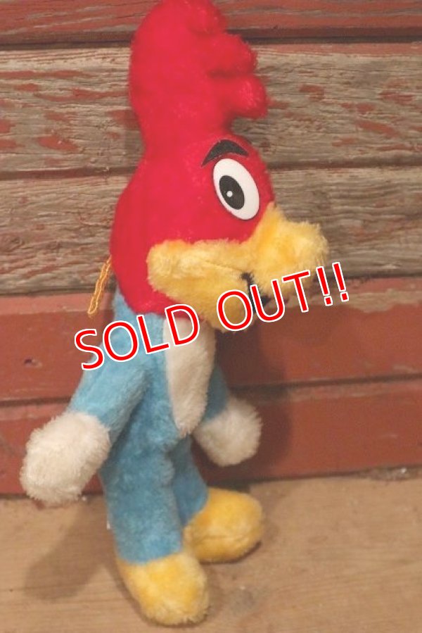 画像4: ct-220719-93 Woody Woodpecker / ACE NOVELTY CO. 1985 Plush Doll