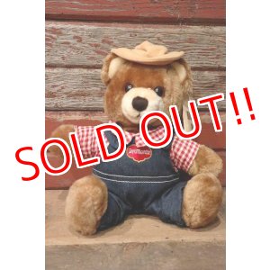 画像: ct-220801-10 Delmonte / Country Yumkin Brawny Bear 1985 Plush Doll