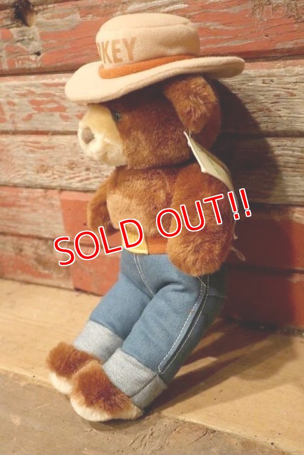 画像3: ct-220801-40 Smokey Bear / THREE BEARS INC. 1985 Plush Doll