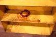 画像10: dp-220901-24 GM UNITED MOTORS SYSTEM / 1950's-1960's Bearing Service Metal Cabinet