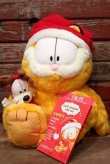 画像1: ct-220901-14 Garfield & Odie / 2003 Plush Doll & Christmas Book