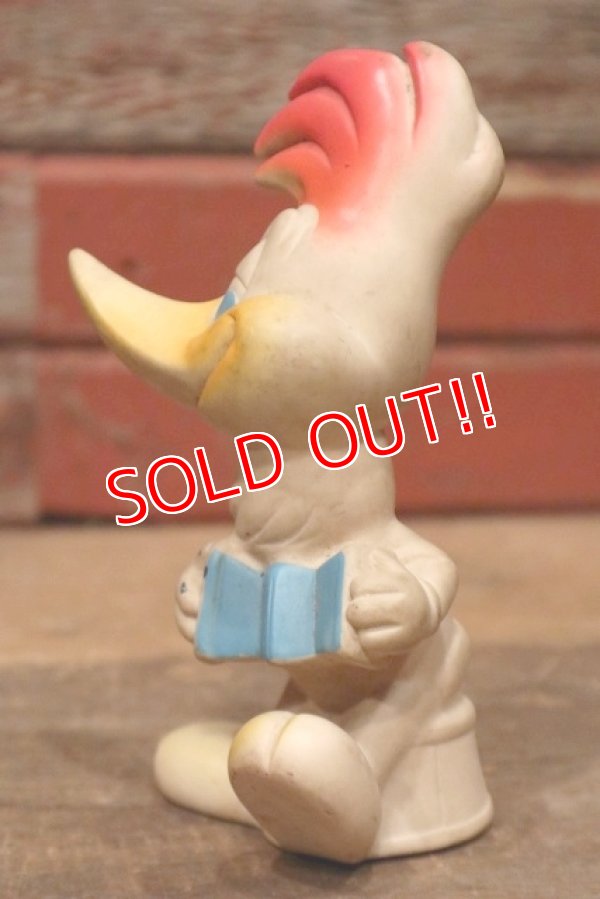 画像5: ct-221101-20 Woody Woodpecker / DELL 1950's Rubber Doll