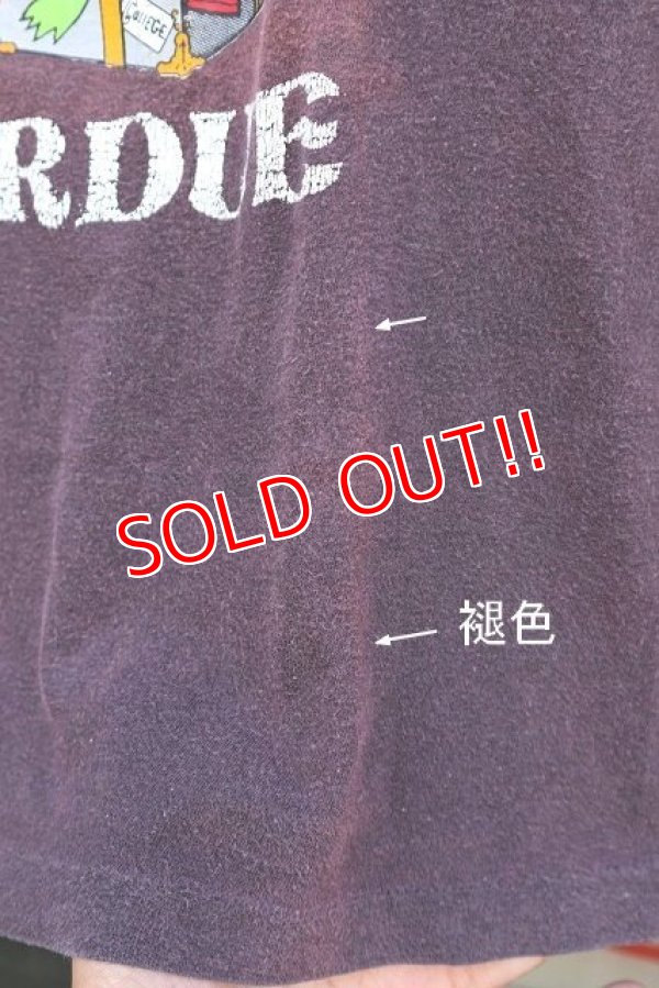 画像9: ct-221101-19 Kermit × PURDUE / 1970's T-Shirt