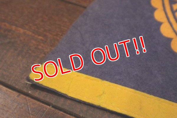 画像5: dp-221101-35 University of Michigan / Vintage Pennant