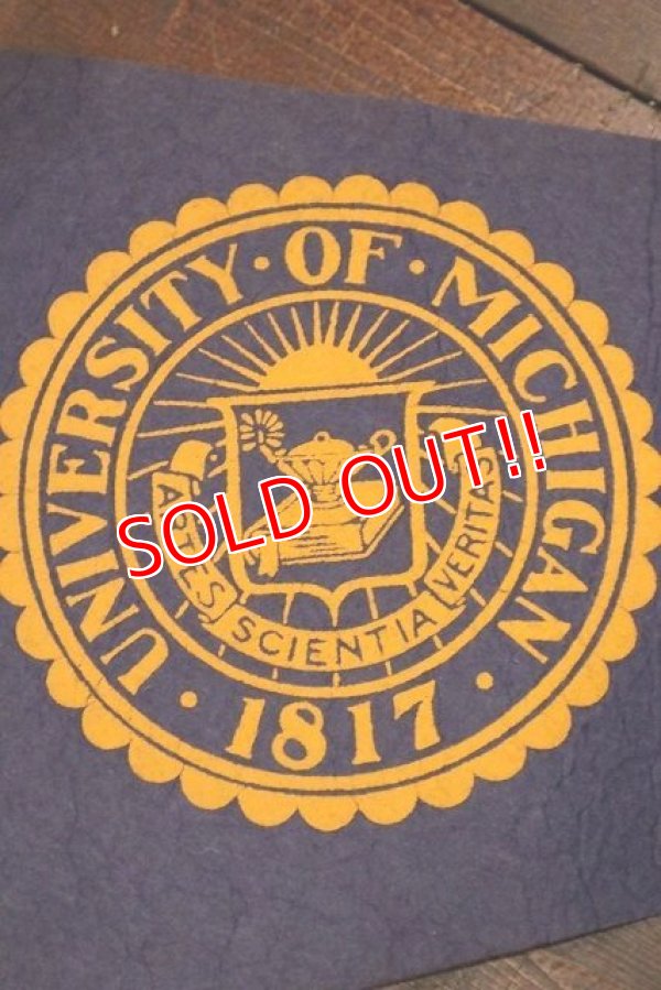 画像2: dp-221101-35 University of Michigan / Vintage Pennant