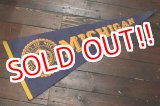 画像: dp-221101-35 University of Michigan / Vintage Pennant