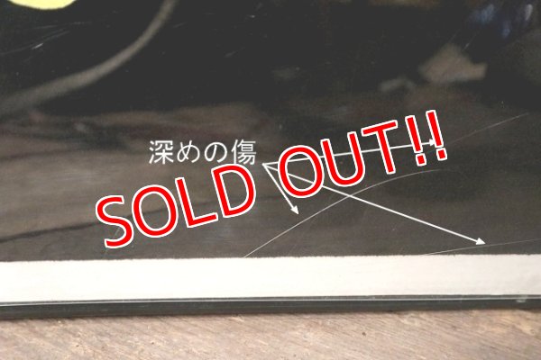 画像8: ct-221101-15 Road Runner & Wile E. Coyote / 1974 Black Light Poster