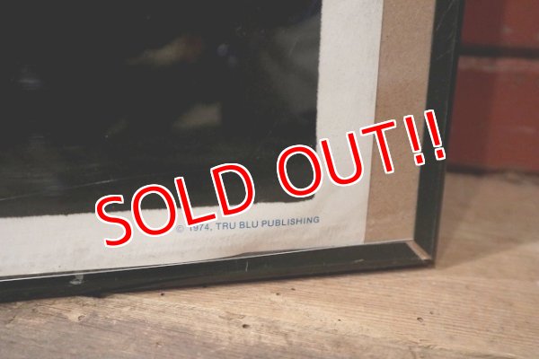 画像5: ct-221101-15 Road Runner & Wile E. Coyote / 1974 Black Light Poster