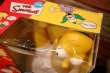 画像9: ct-230101-06 Homer Simpson / Playmates 2000 Talking Doll