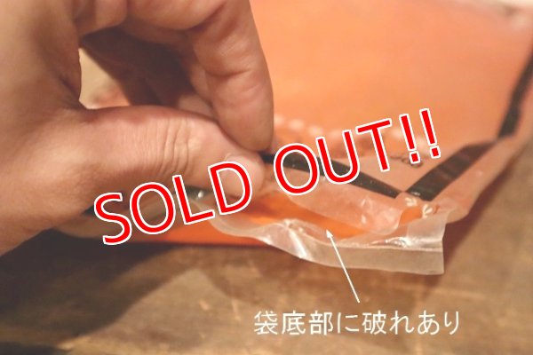 画像10: ct-230201-24 Wile E. Coyote / DAKIN 1968 Figure