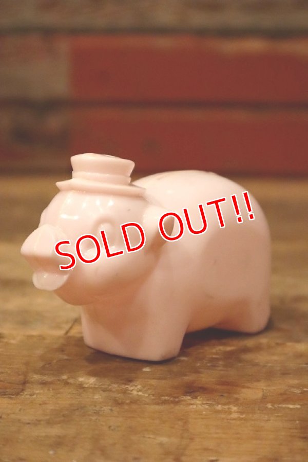 画像1: ct-221101-94 1950's-1960's Plastic Piggy Bank