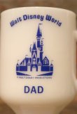 画像2: kt-230301-01 Walt Disney World / Federal 1970's Footed Mug "DAD"