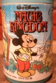 画像2: ct-230301-86 Walt Disney World MAGIC KINGDOM / ALADDIN 1970's Water Bottle