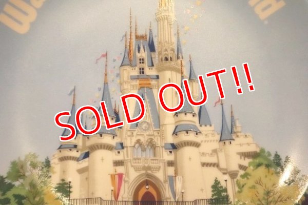画像3: ct-230301-61 Walt Disney World / Late 1970's-1980's Souvenir Plate