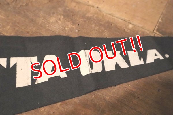 画像4: dp-230301-100 HENRYETTA OKLA / Vintage Pennant