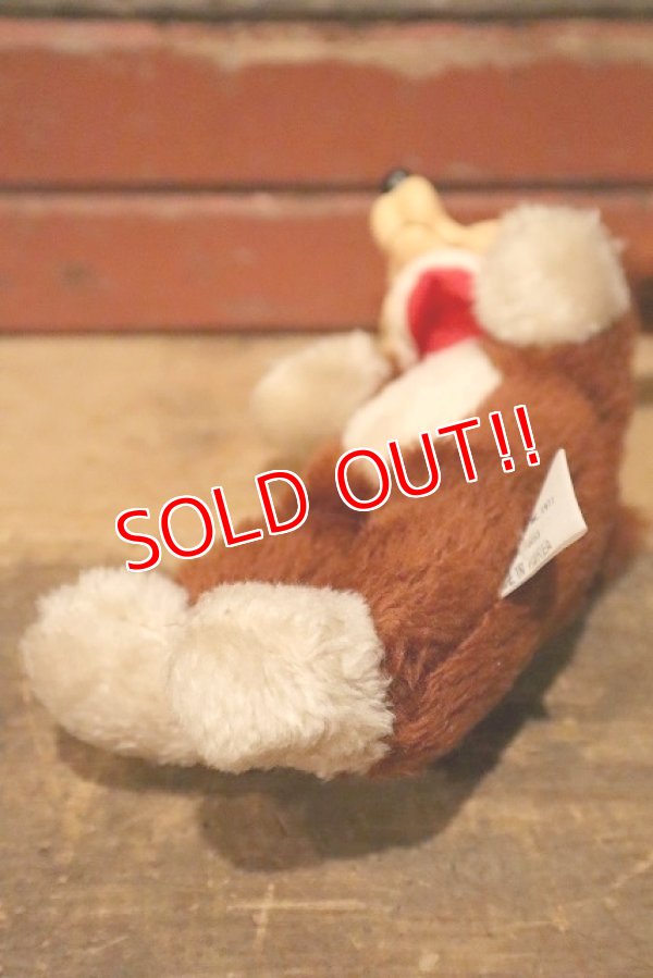 画像6: ct-230414-29 Wile E. Coyote / 1977 Rubber Face Doll