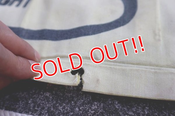 画像7: ct-230401-02 Hawaiian Punch / Punchy 1970's-1980's Raft Float