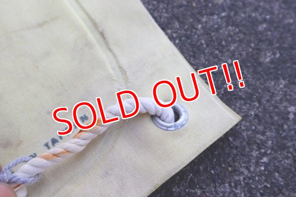 画像8: ct-230401-02 Hawaiian Punch / Punchy 1970's-1980's Raft Float