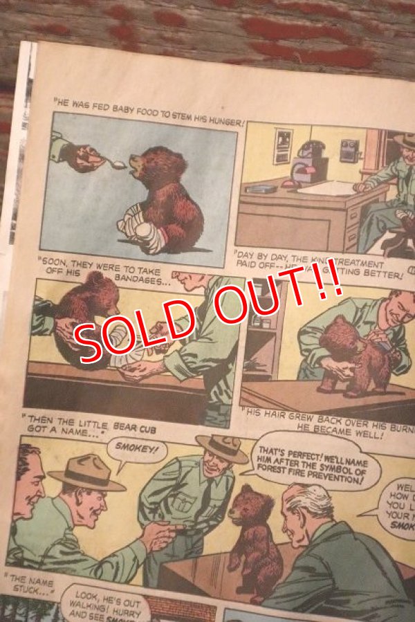 画像4: ct-150217-08 Smokey Bear / The True Story of Smokey Bear 1969 Comic