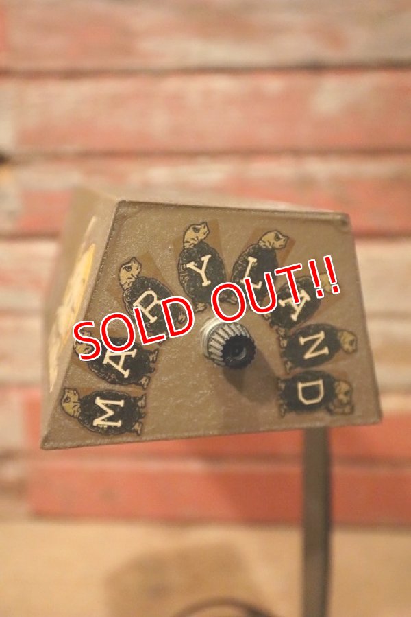 画像3: dp-230414-17 Vintage Desk Light College Decal Custom