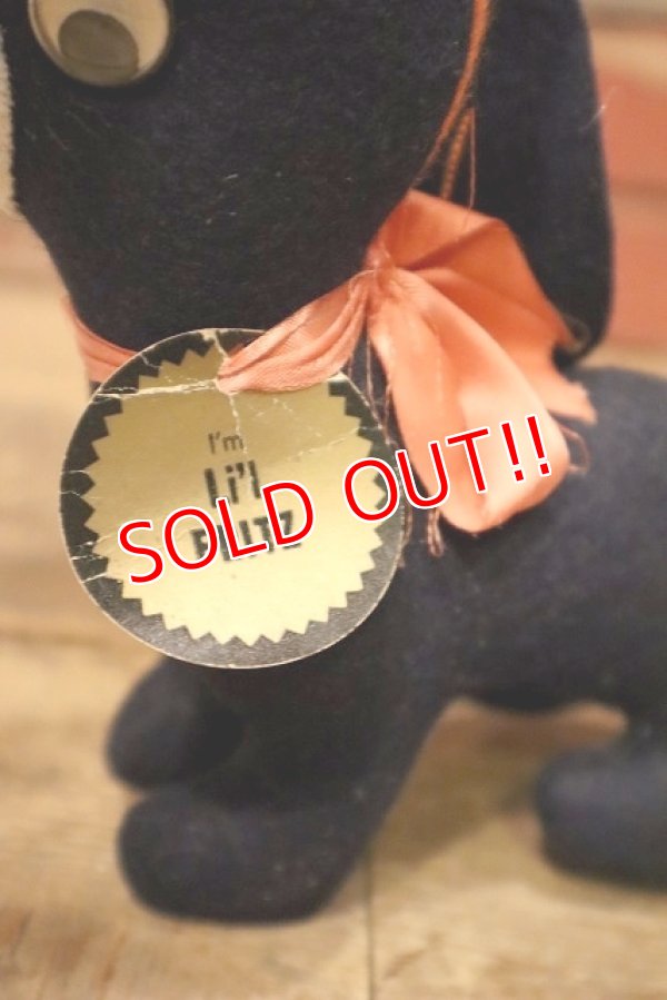 画像5: ct-230518-27 U of V / 1950's-1960's College Mascot Doll