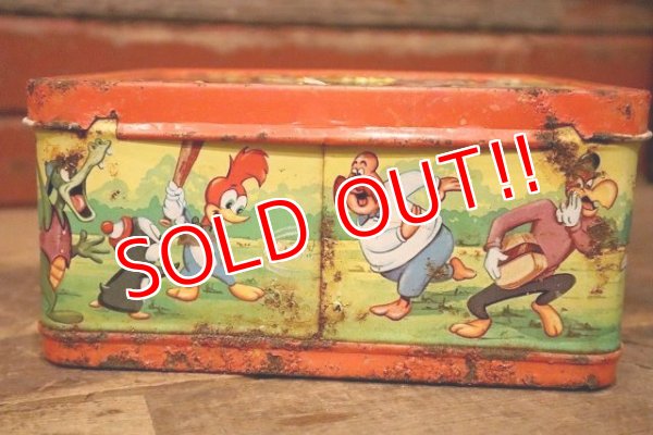 画像8: ct-230601-17 Woody Woodpecker / ALADDIN 1972 Metal Lunch Box
