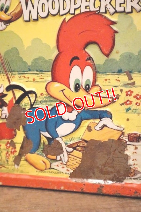 画像2: ct-230601-17 Woody Woodpecker / ALADDIN 1972 Metal Lunch Box