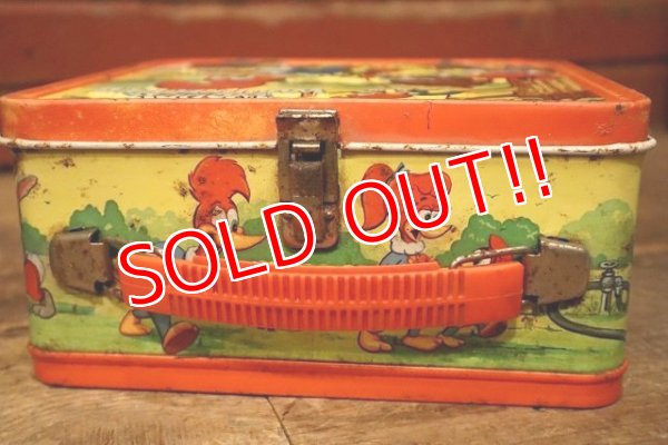 画像9: ct-230601-17 Woody Woodpecker / ALADDIN 1972 Metal Lunch Box