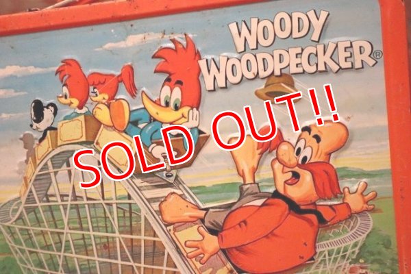 画像5: ct-230601-17 Woody Woodpecker / ALADDIN 1972 Metal Lunch Box