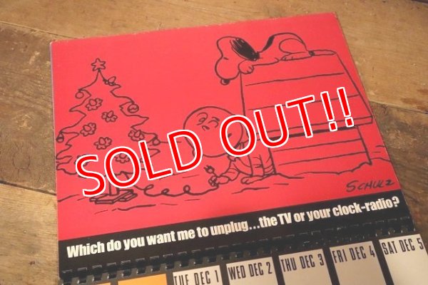 画像10: ct-230601-08 PEANUTS / 1970's DATE BOOK (Calendar)