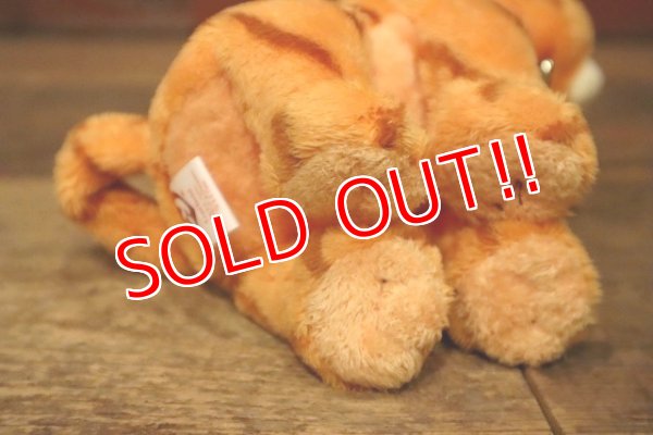 画像6: ct-230503-02 Garfield / Ty Beanie Babies 2004 Plush Doll "Cool Cat"