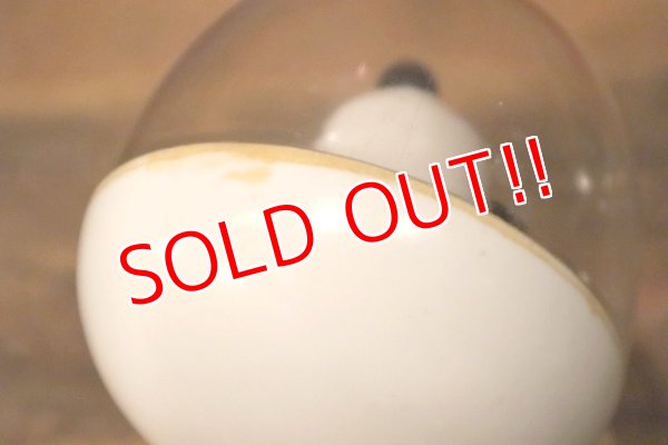 画像9: ct-230724-09 Snoopy / 1969 Astronauts Snoopy Doll