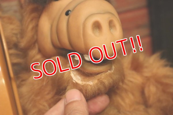 画像12: nt-230907-04 ALF / 1980's Phone