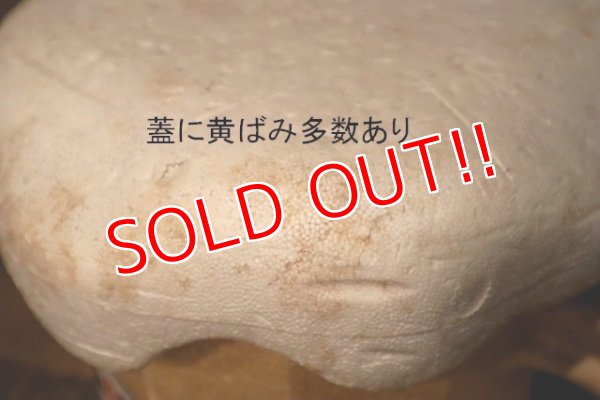 画像9: nt-230907-15 A&W / 1970's-1980's Styrofoam Beer Mug Cooler Box