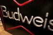 画像6: dp-230901-38 Budweiser / 1990's Bar Lighted Sign