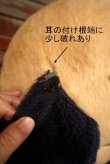 画像10: ct-230907-01 Animal Fair / Henry the Dog 1971 Big Plush Doll