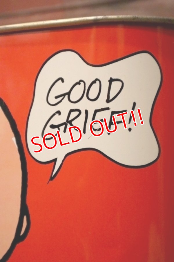 画像6: ct-231001-58 Snoopy & Charlie Brown / CHEINCO 1970's Trash Can (Red)