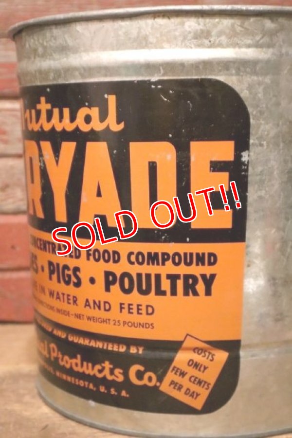 画像3: dp-231101-04 Mutual DAIRYADE / 1940's-1950's Galvanized Bucket