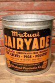 画像1: dp-231101-04 Mutual DAIRYADE / 1940's-1950's Galvanized Bucket