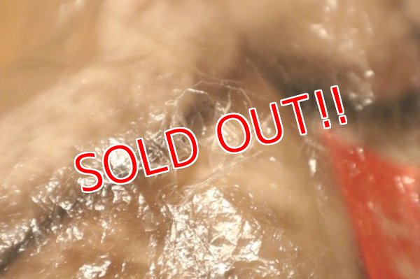 画像9: ct-231001-27 E.T. / KAMAR 1982 SHOWTIME Plush Doll