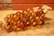 画像1: dp-231211-06 1960's-1970's Resin Grapes  "Amber"