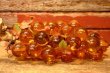 画像5: dp-231211-06 1960's-1970's Resin Grapes  "Amber"