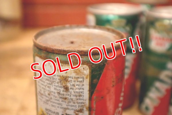 画像15: ct-240101-63 CANADA DRY Ginger Ale / 1970's NFL Team Can Set of 6