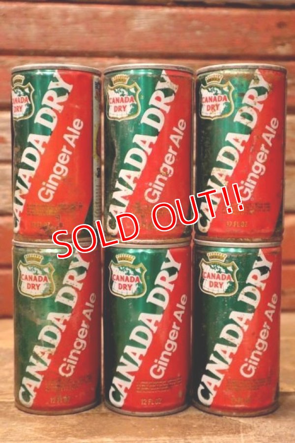 画像8: ct-240101-63 CANADA DRY Ginger Ale / 1970's NFL Team Can Set of 6