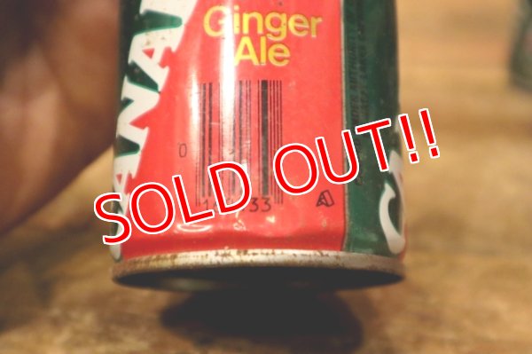 画像14: ct-240101-63 CANADA DRY Ginger Ale / 1970's NFL Team Can Set of 6