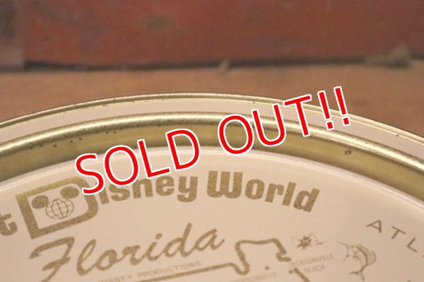 画像7: ct-240301-09 Walt Disney World / 1970's Serving Tin Tray