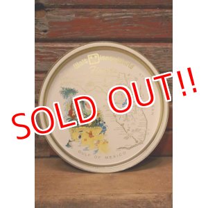 画像: ct-240301-09 Walt Disney World / 1970's Serving Tin Tray